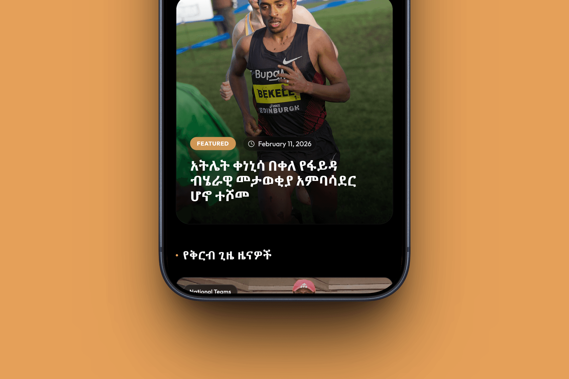 Pana Sports — View 4